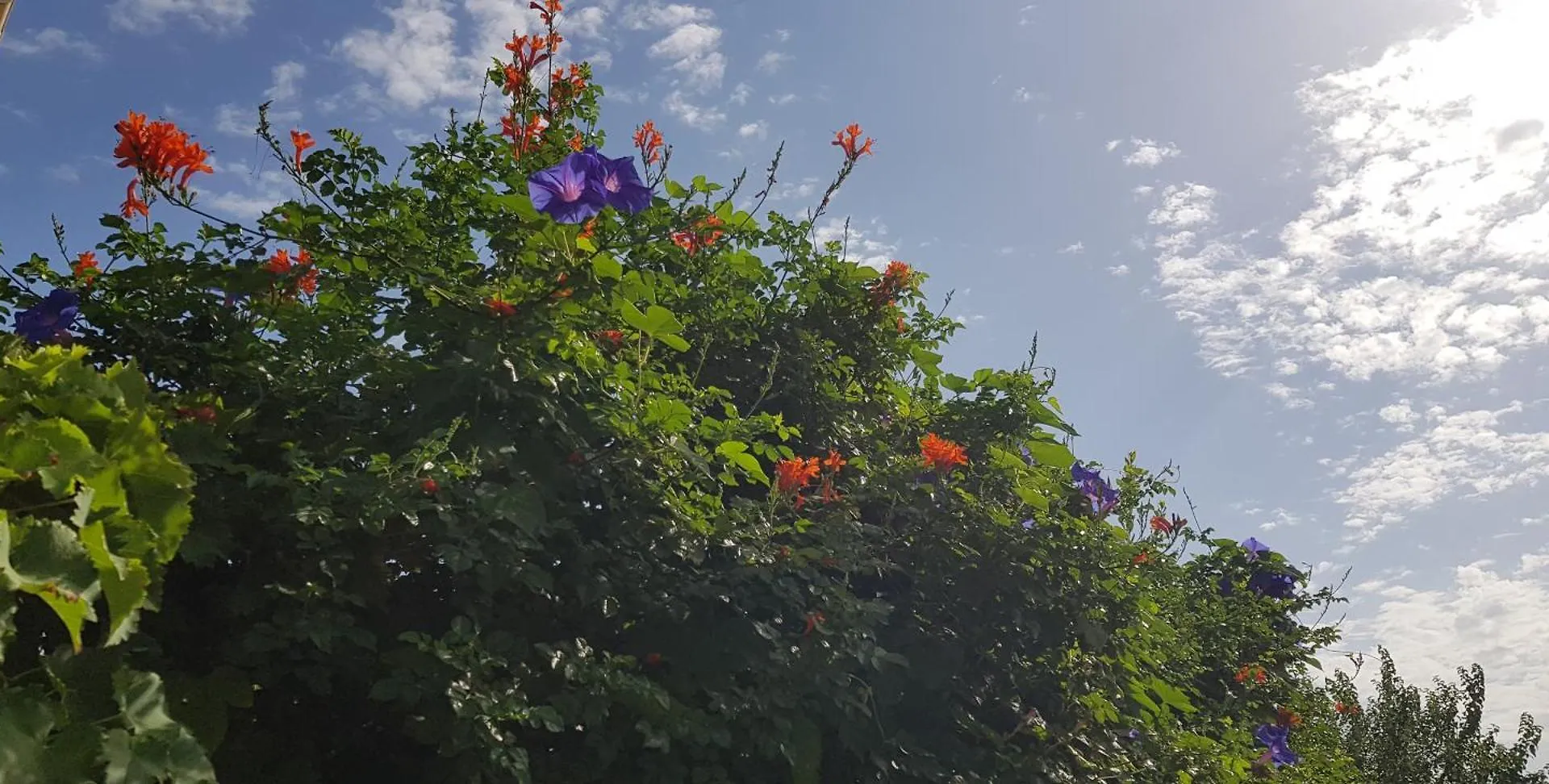 Superbe T2 Avec Jardin, Piscine-Enfant Et Parking Apartment Arles
